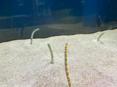 -欢乐海岸海洋奇梦馆