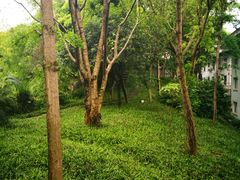 -灵秀温泉