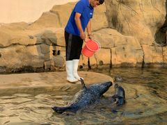 -秦皇岛乐岛海洋王国