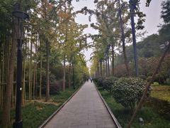 -唐城墙遗址公园