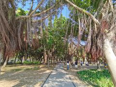 -深圳湾公园(南山区)