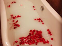 -候鸟水榕庄度假酒店