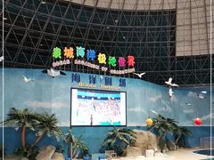 -泉城欧乐堡海洋极地世界