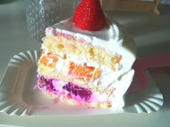 草莓蛋糕-今日·TODAY手作低脂动物奶油蛋糕定制(高新万达店)