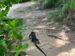 -巴拉湾海滩