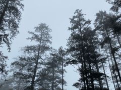 -玉龙雪山游客服务中心