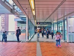 -香港大学