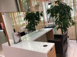 -CARR SALON