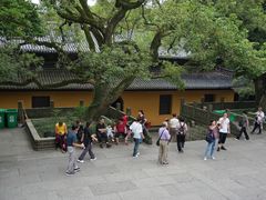 -普陀山风景名胜区-法雨禅寺