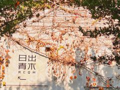 -日出青木·杭帮菜名店