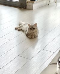 -Beauty Nails 美甲美睫皮肤管理