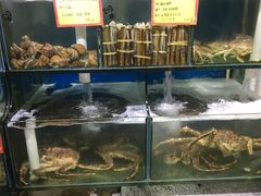 水产区-蚝专家(北滘店)