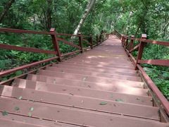 -白草畔自然风景区