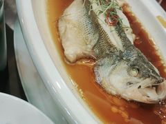 -杨正宗烤全羊(北二环店)