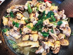 -食德喜·阳山鸡王食研基地