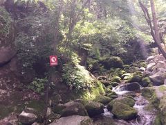 红河谷森林公园-陕西省红河谷森林公园