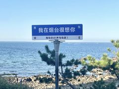 -养马岛旅游度假区