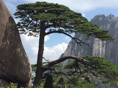 -黄山阿拉酒店(黄山风景区换乘中心店)