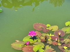 -国家植物园南园