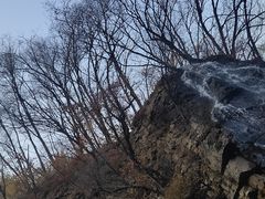 -龙道沟景区