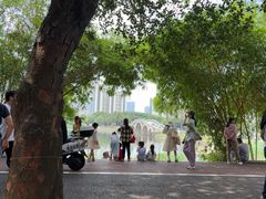 -南宁南湖公园