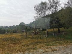 -沈阳森林动物园