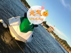 -汕尾风车岛