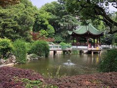 -申粤轩酒楼·三十年粤菜经典(丁香花园店)