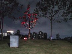 -白石龙音乐公园