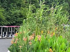 -东钱湖旅游度假区