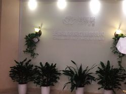 -碧莲盛·不剃发植发