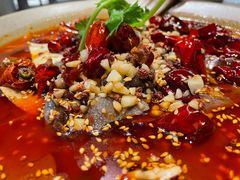 -辛香汇·现炒川菜(淮海路百盛店)
