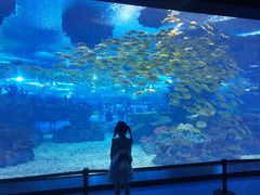 -安肯心理咨询(长宁旗舰店)