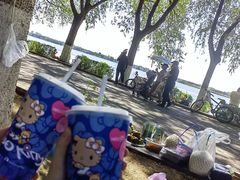 -丁香湖公园