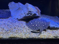 -上海海洋水族馆