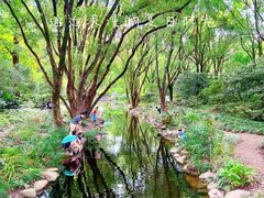 -上海共青森林公园