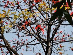 -晓港公园