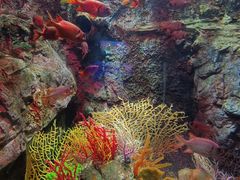 -太平洋海底世界