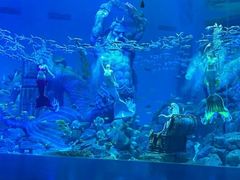 -哈尔滨波塞冬海底世界