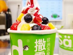 冻酸奶-Salud撒露欧洲冻酸奶(蓝色港湾店)