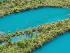 -九寨沟-树正沟
