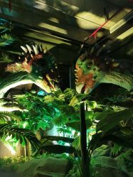 -恐龙探索乐园(磁器口店)