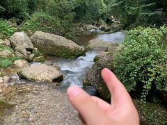 -张醪糟(街子店)