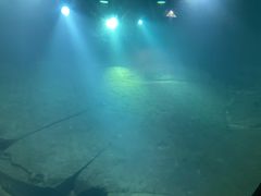 -白鹤梁水下博物馆