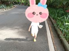 -白云山风景名胜区