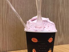 -野人先生现做冰淇淋(北京环宇荟店)