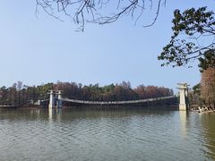 -东湖落雁景区
