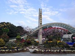 -南山植物园