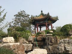 -武清南湖绿博园