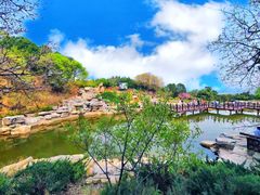 -北京西山国家森林公园